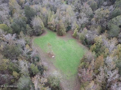 Woodville, Ms, 40 Acres With Incom : Woodville : Wilkinson County : Mississippi