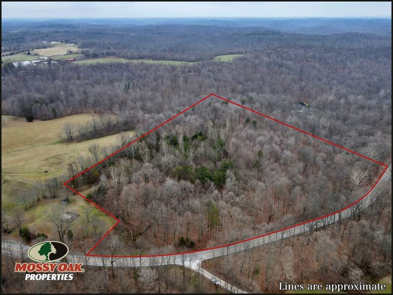 The Hilltop 11, Martin County : Shoals : Martin County : Indiana