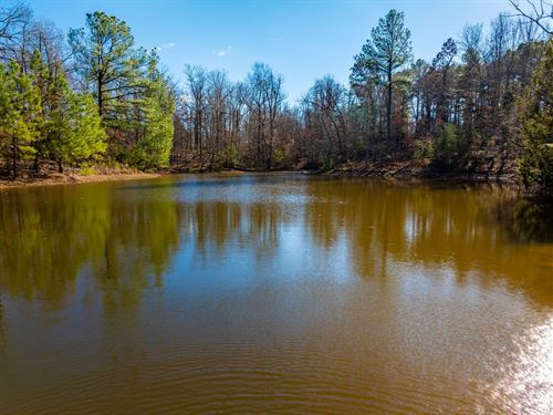 244 Acre Ozark Hunting Retreat : Mammoth Spring : Sharp County : Arkansas