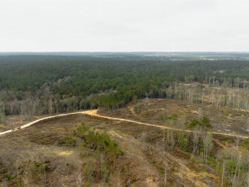 216 Acres in Perry County, MS : Beaumont : Perry County : Mississippi