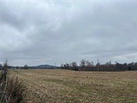 Kentucky Farm Land : Hardyville : Hart County : Kentucky