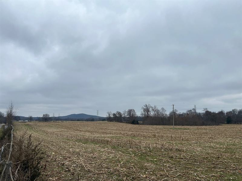 Kentucky Farm Land : Hardyville : Hart County : Kentucky