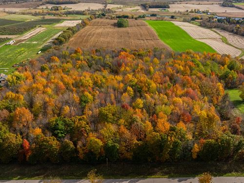 134 Acres Eau Claire County, WI : Osseo : Eau Claire County : Wisconsin