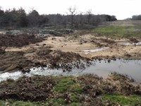 Prime Recreation / Hunting Property : Coleman : Atoka County : Oklahoma