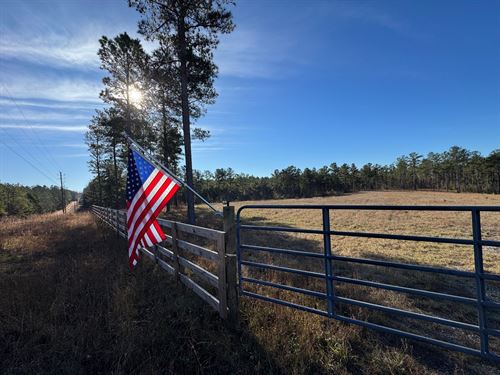 39 Acres in Lee County, AL : Camp Hill : Lee County : Alabama