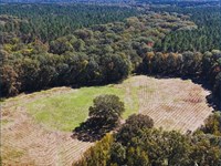 984 Acres in Claiborne County in Po : Port Gibson : Claiborne County : Mississippi