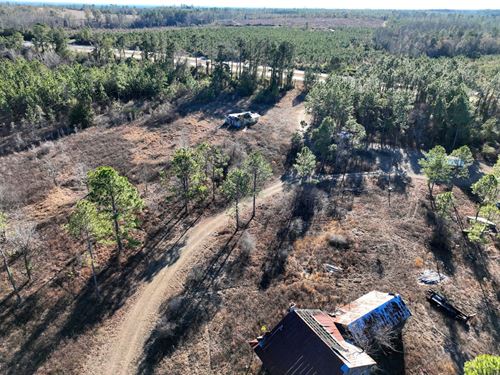 194 Acres For Sale in Telfair Co : Lumber City : Telfair County : Georgia