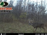 21.22 Acres / N State Road 15 : Roann : Wabash County : Indiana