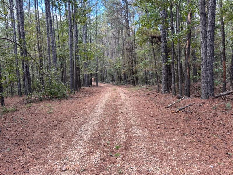 29.79 Acres in Rankin County, MS : Mendenhall : Rankin County : Mississippi