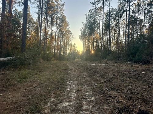 35.02 Acres in Copiah County, MS $1 : Wesson : Copiah County : Mississippi