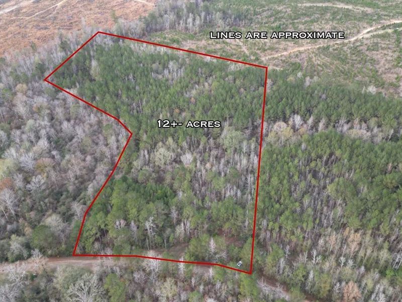 12 Acres in Wesson, Lincoln County : Sontag : Lincoln County : Mississippi