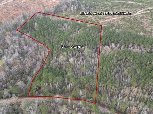 12 Acres in Wesson, Lincoln County : Sontag : Lincoln County : Mississippi