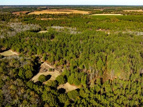 Whitewater Ranch : Butler : Taylor County : Georgia