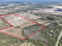 216 Acres, NE 85th Ave Rd : Citra : Marion County : Florida
