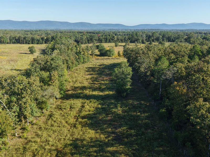 50.15 Acres Polk County, AR : Mena : Polk County : Arkansas