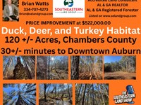 120 Acre Pine Plantation : Lafayette : Chambers County : Alabama