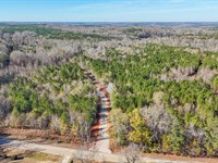 14 Unrestricted Acres Just Off Hwy : Opelika : Lee County : Alabama