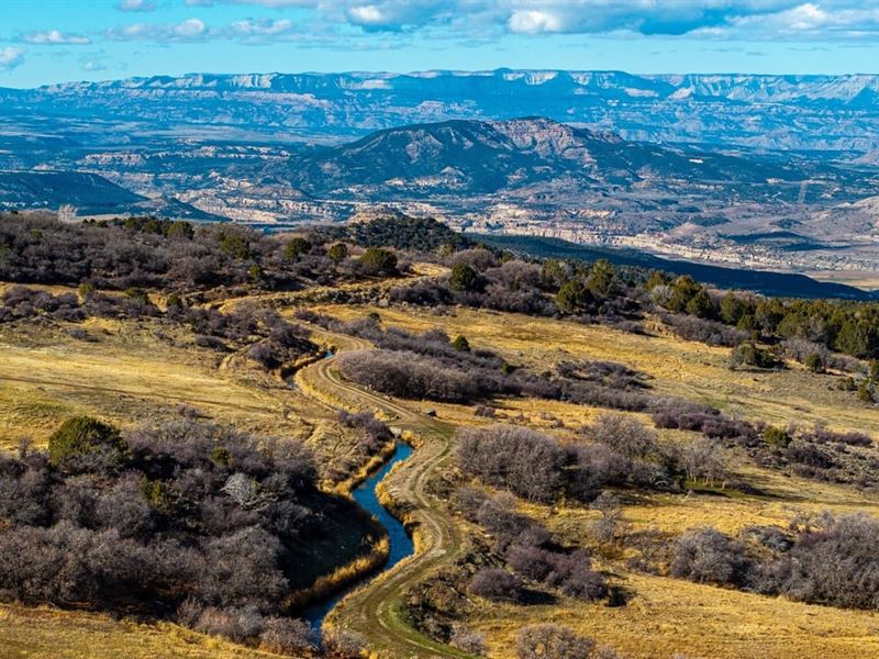 Bull Basin Meadows Ranch : Collbran : Mesa County : Colorado