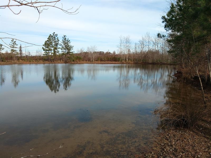 Large Acreage Avaialble : Byromville : Dooly County : Georgia