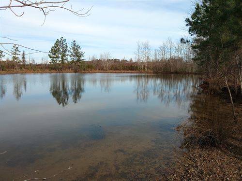 Large Acreage Avaialble : Byromville : Dooly County : Georgia