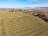 Casa Colorada Farm : Casa Colorada : Valencia County : New Mexico