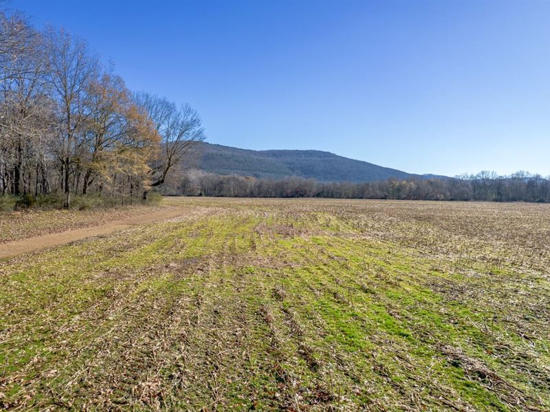 1,072 Acres Riverfront Estate Bo : Huntsville : Madison County : Alabama