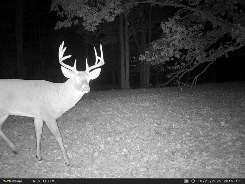 77+ Acres, Farm- Woods, Building : Markleville : Madison County : Indiana