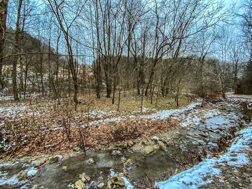 Trough Run, 51 Acres : Bellaire : Belmont County : Ohio