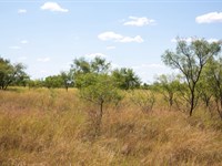 $999 Down Land with Electricity : Doole : McCulloch County : Texas