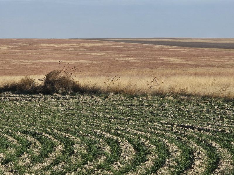 Westward C Farmland, 557.7 Acres : Harrison : Wallace County : Kansas