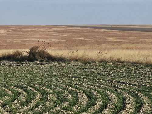 Westward C Farmland, 557.7 Acres : Harrison : Wallace County : Kansas