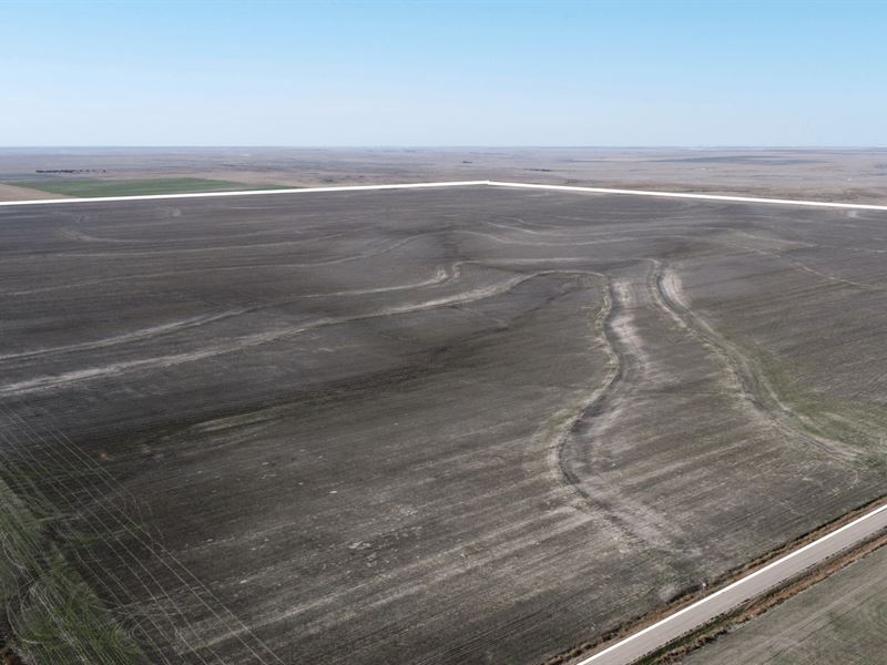 Two Wide Dryland 511 : Wallace : Wallace County : Kansas