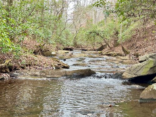 High Shoals Tract, 258 Acres : Roanoke : Randolph County : Alabama
