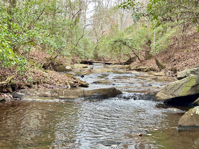 High Shoals Tract, 258 Acres : Roanoke : Randolph County : Alabama