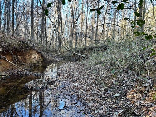 Heelsplitter Tract : Lancaster : South Carolina