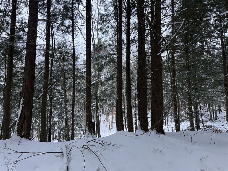 Off The Grid Recreational Property : Constantia : Oswego County : New York