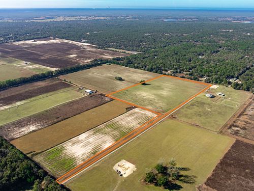 Marion County 24 Ac Ranchette &Home : Dunnellon : Marion County : Florida