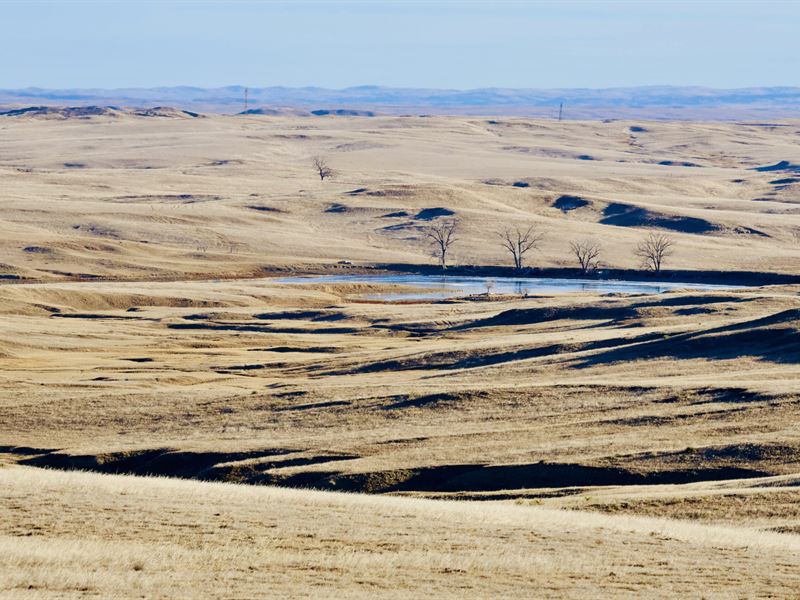 White River Ranch : Chadron : Dawes County : Nebraska