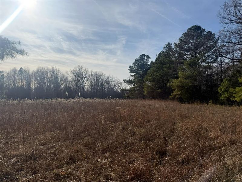 49 Acres in Fayette County, TN : Moscow : Fayette County : Tennessee