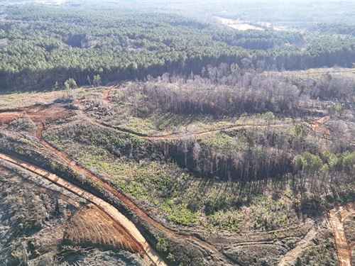 61.32 Acres in Union County, MS : New Albany : Union County : Mississippi