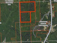 Great Hunting and Timber Investment : Dixons Mills : Marengo County : Alabama