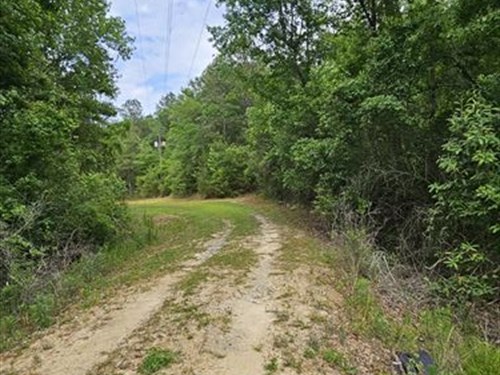 Timberland Tract Near 1200 Ac. Lake : Opp : Covington County : Alabama