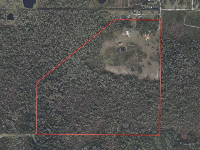 120 Acres Near New Turnpike Lake Co : Astatula : Lake County : Florida