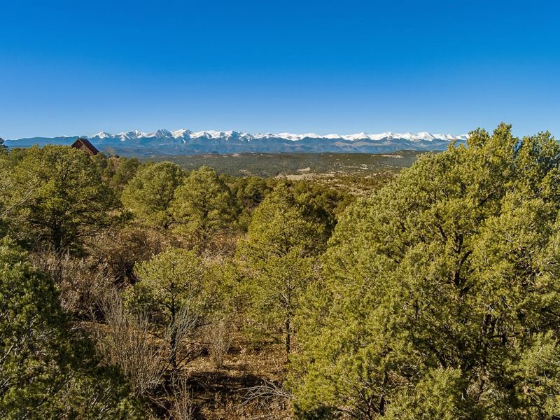 48A & 48D Primero Ranch 70 Acres : Trinidad : Las Animas County : Colorado