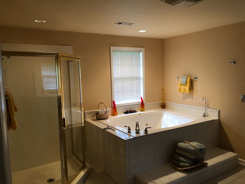 Pasture, Timber, Development Land : Coffeeville : Yalobusha County : Mississippi