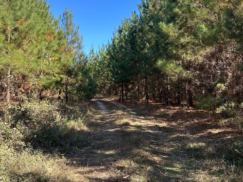 99 Acres in Ariton, Alabama : Ariton : Dale County : Alabama