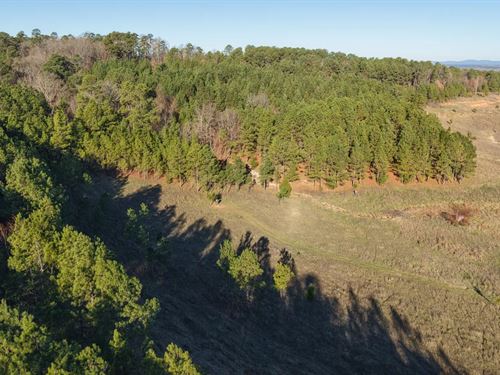 197.94 Acres in Howard County, AR : Nashville : Howard County : Arkansas