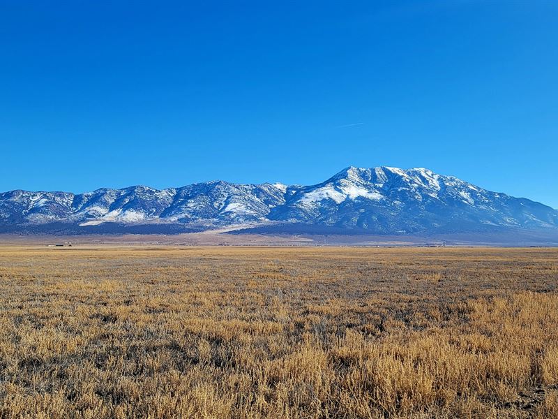 Your 40 Acre Dream in NV : Elko : Elko County : Nevada