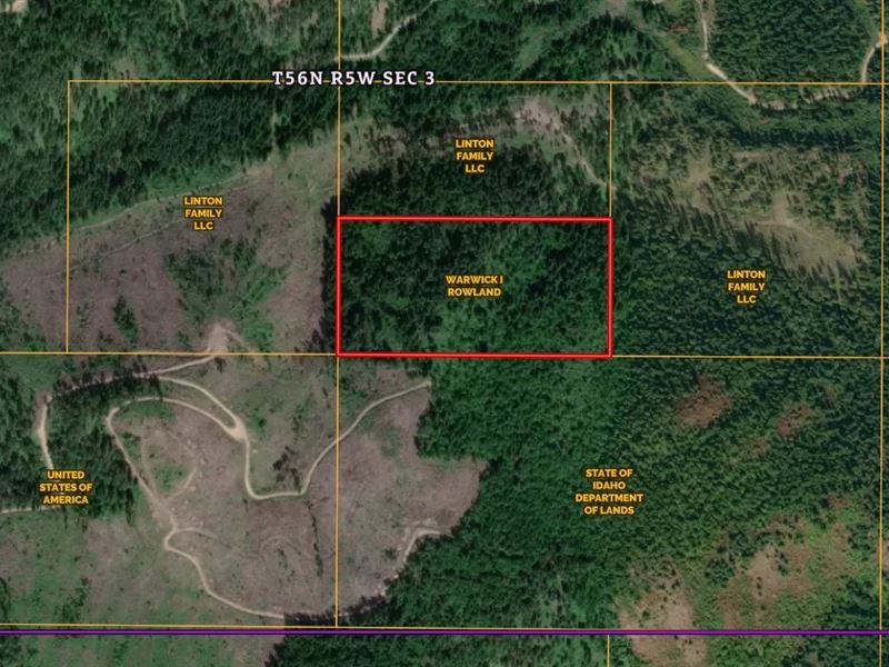 Nka Bodie Canyon Road : Priest River : Kootenai County : Idaho