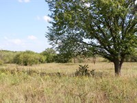 Financing Available no Credit Check : Niotaze : Chautauqua County : Kansas